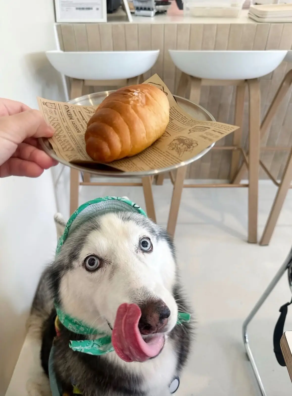 MOODMERGE.CAFE food image 1