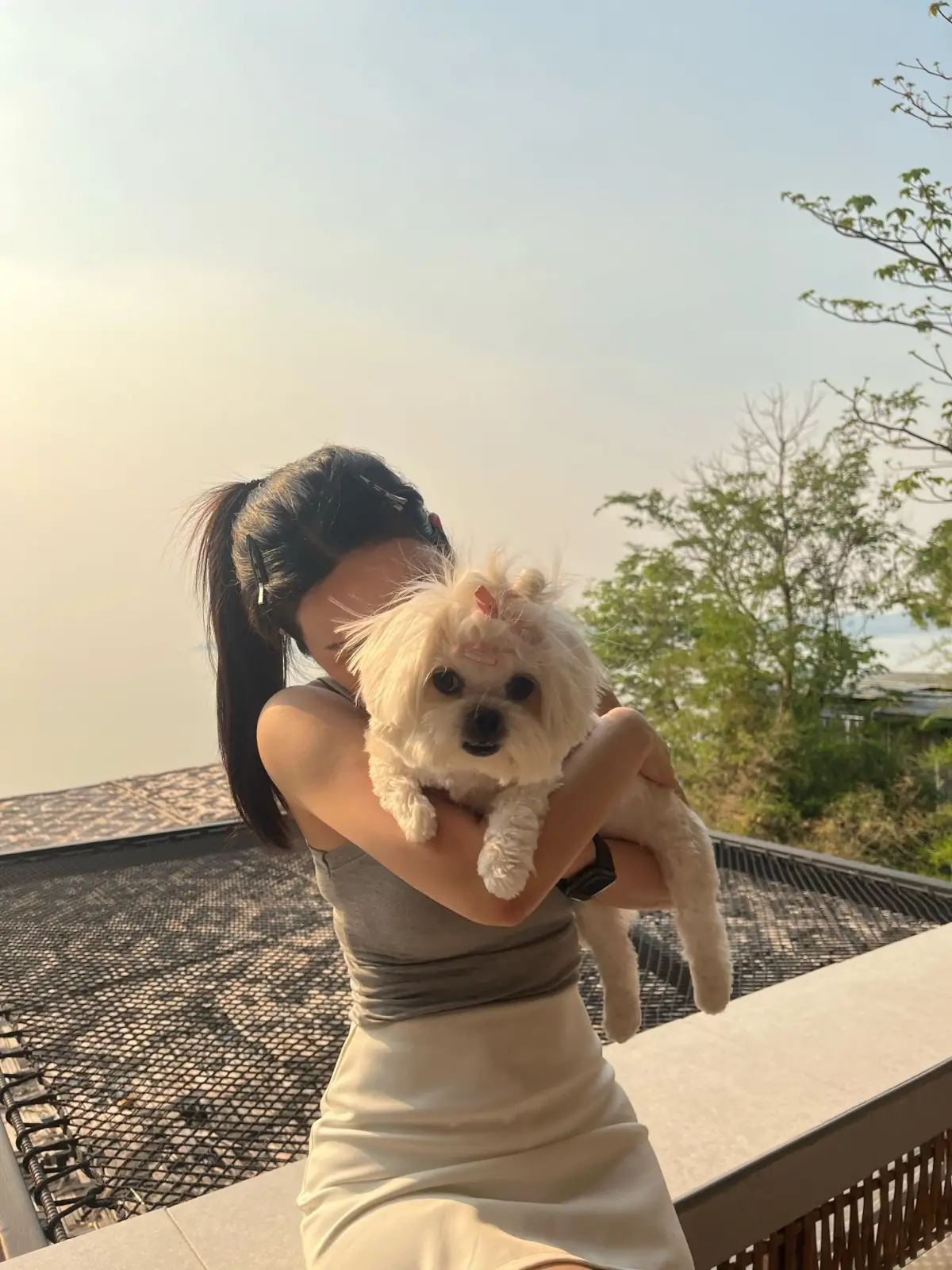 AVA - Kanchanaburi pets image 19