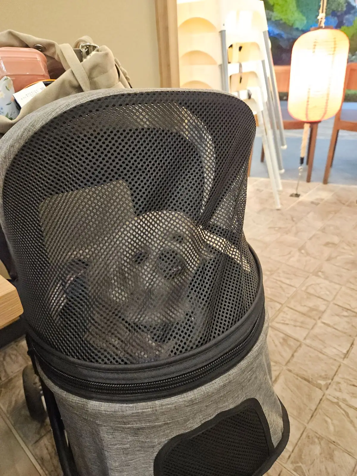 Soba House Konjiki Hototogisu - Siam Paragon pets image 1