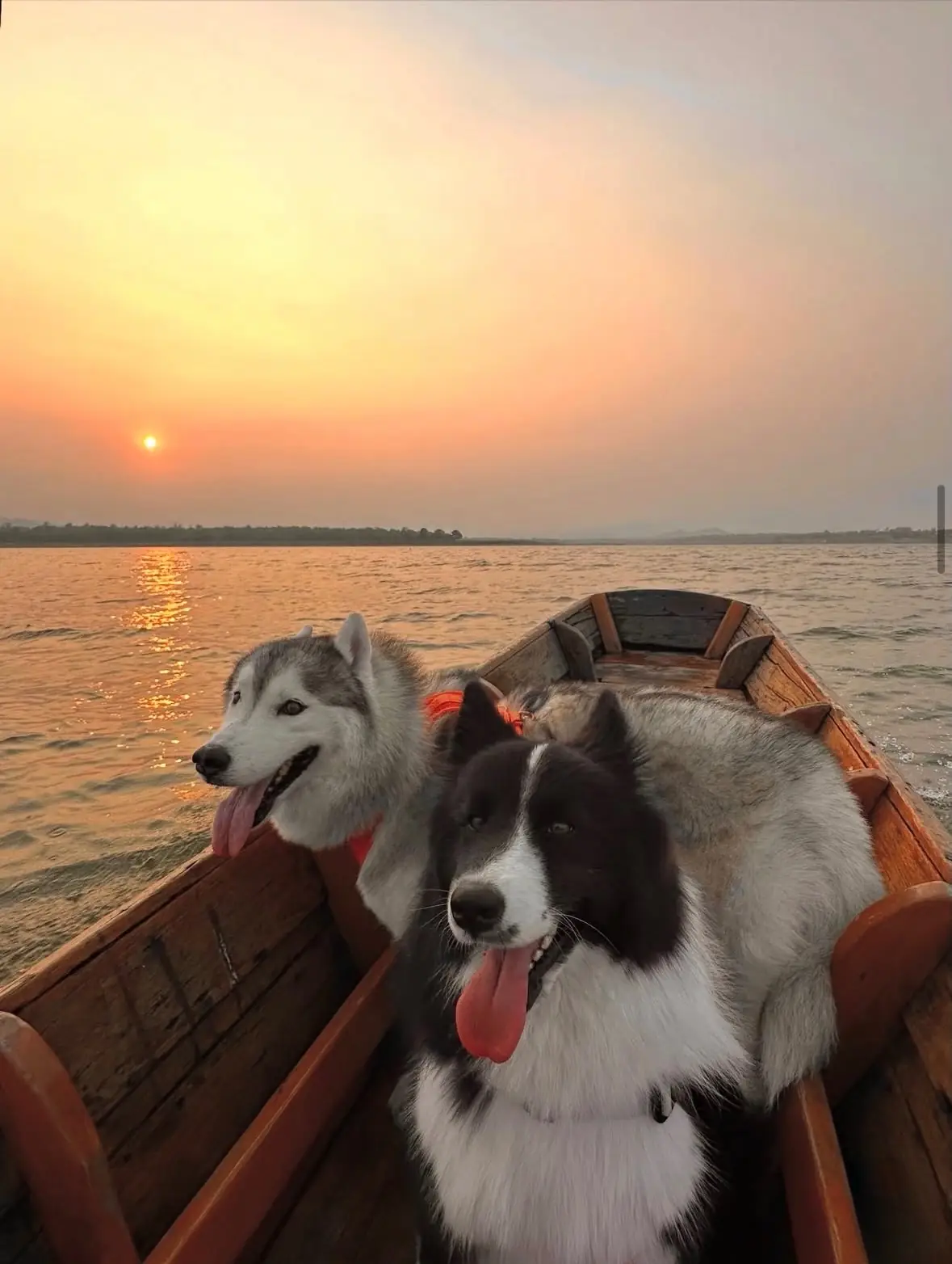 สวนสาธารณะเขื่อนทับเสลา pets image 1