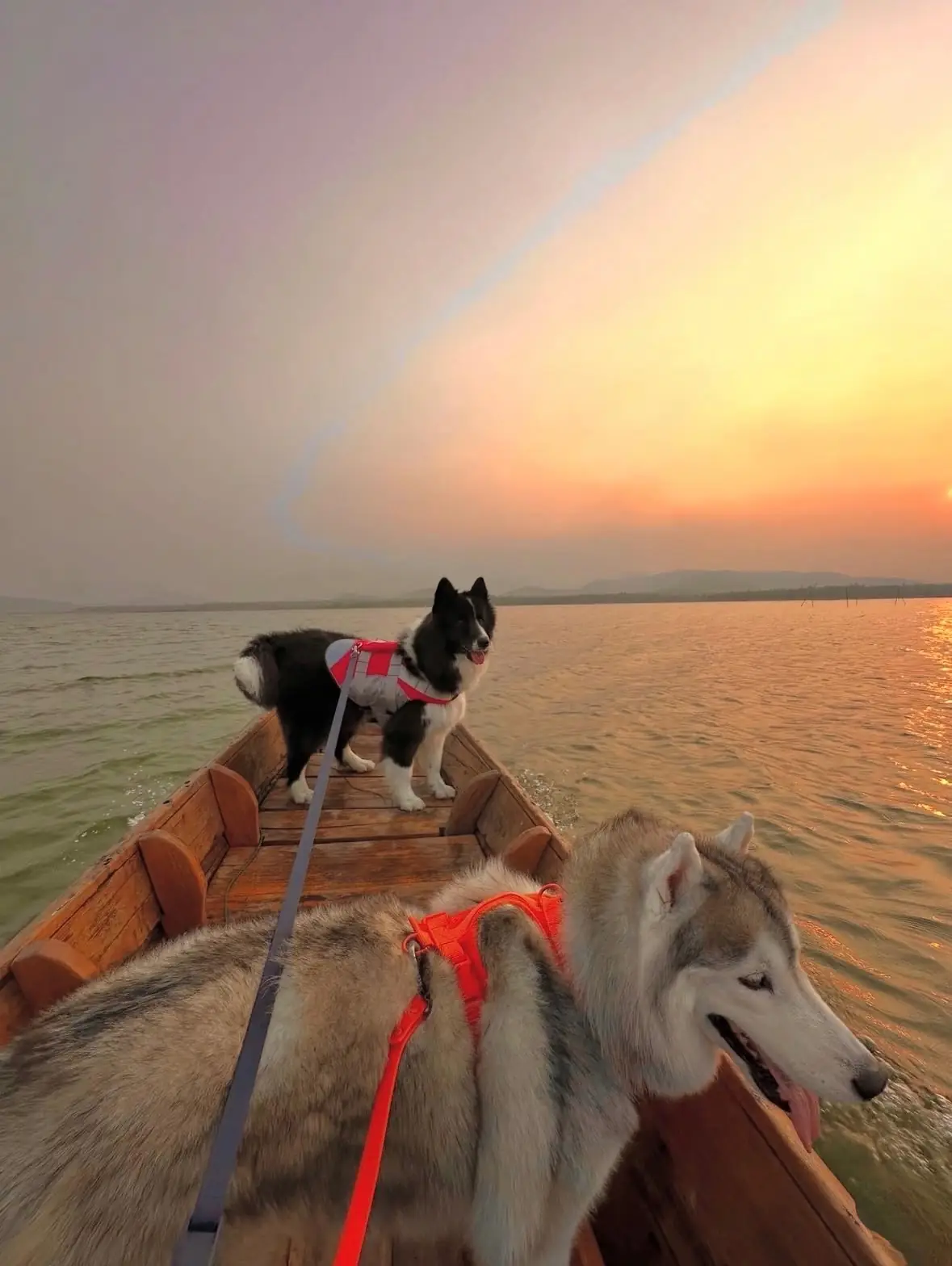 สวนสาธารณะเขื่อนทับเสลา pets image 4