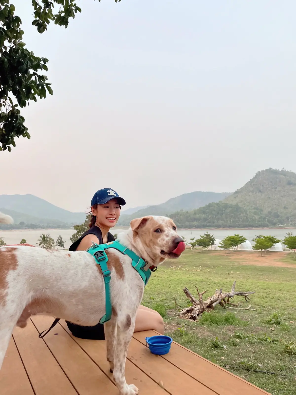 La Colline Campground pets image 4