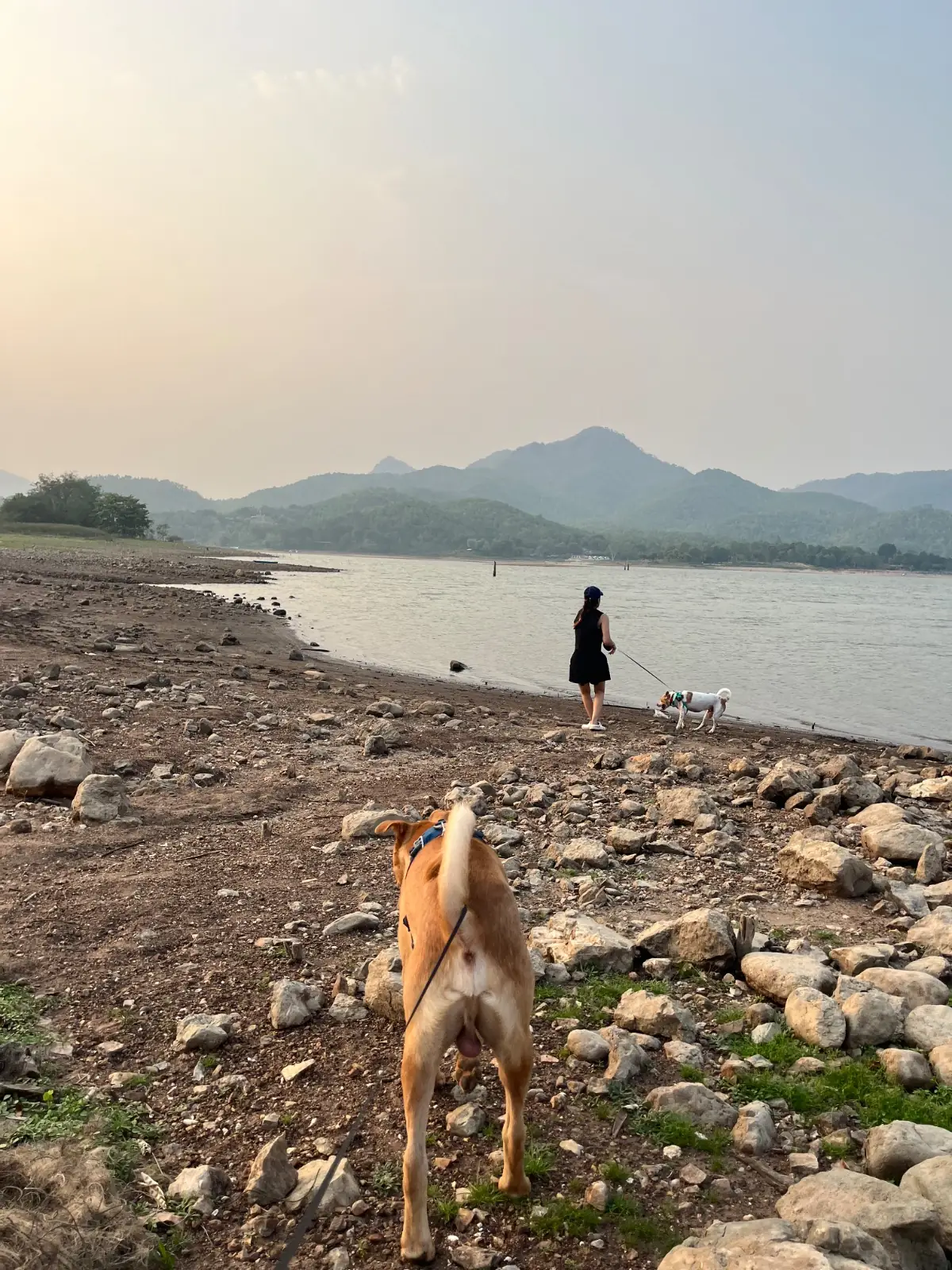 La Colline Campground pets image 1