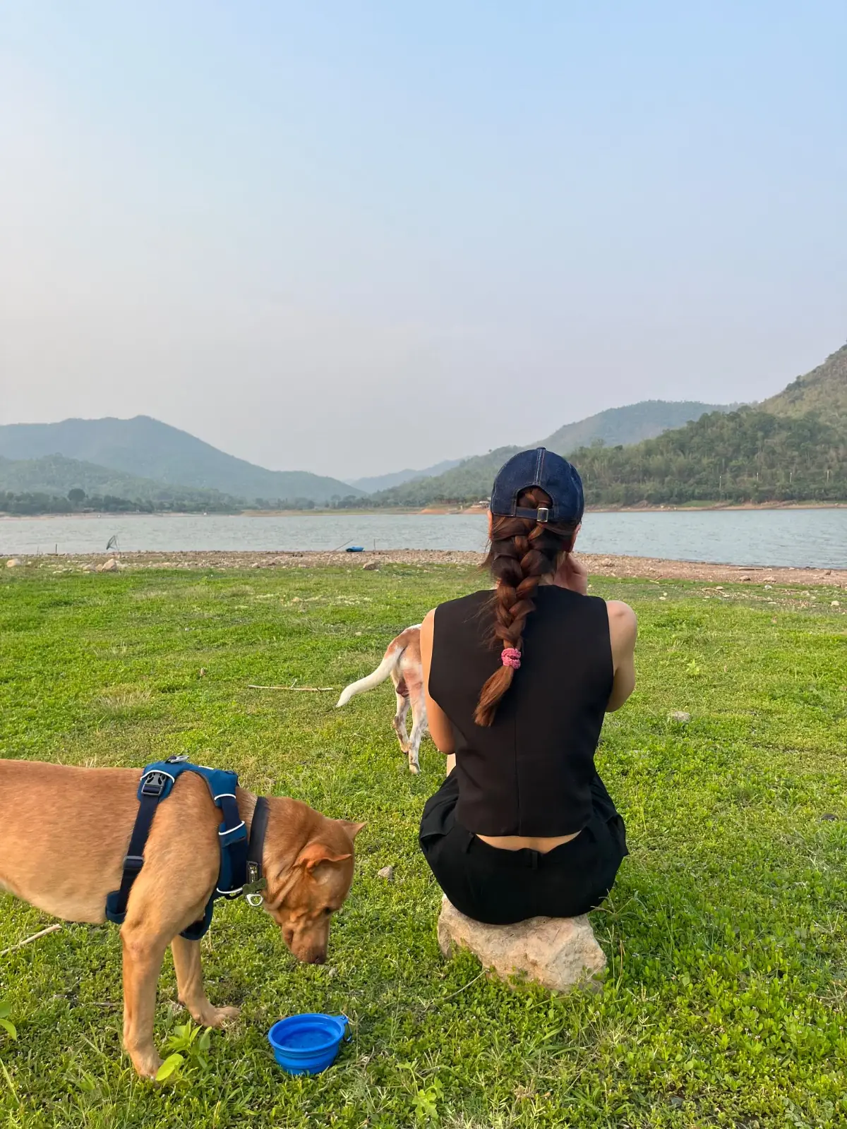 La Colline Campground pets image 2