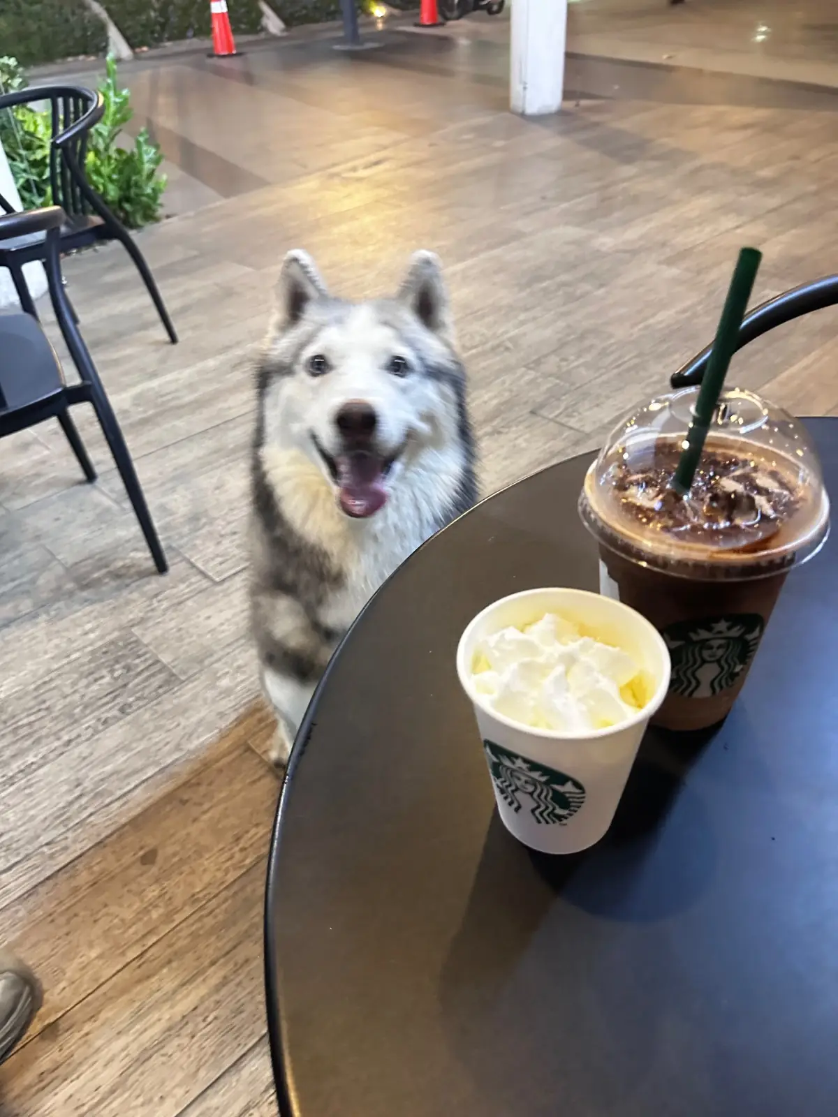 Starbucks - Mega Bangna food image 1