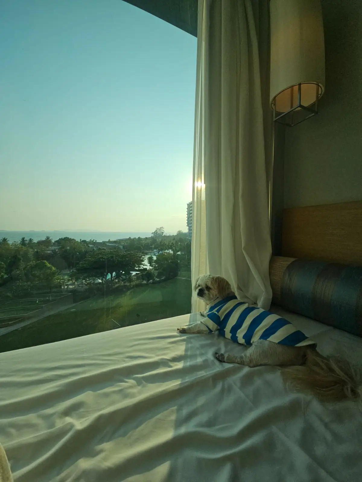 Rayong Marriott Resort & Spa pets image 4