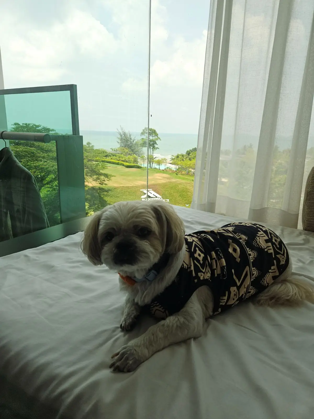 Rayong Marriott Resort & Spa pets image 2