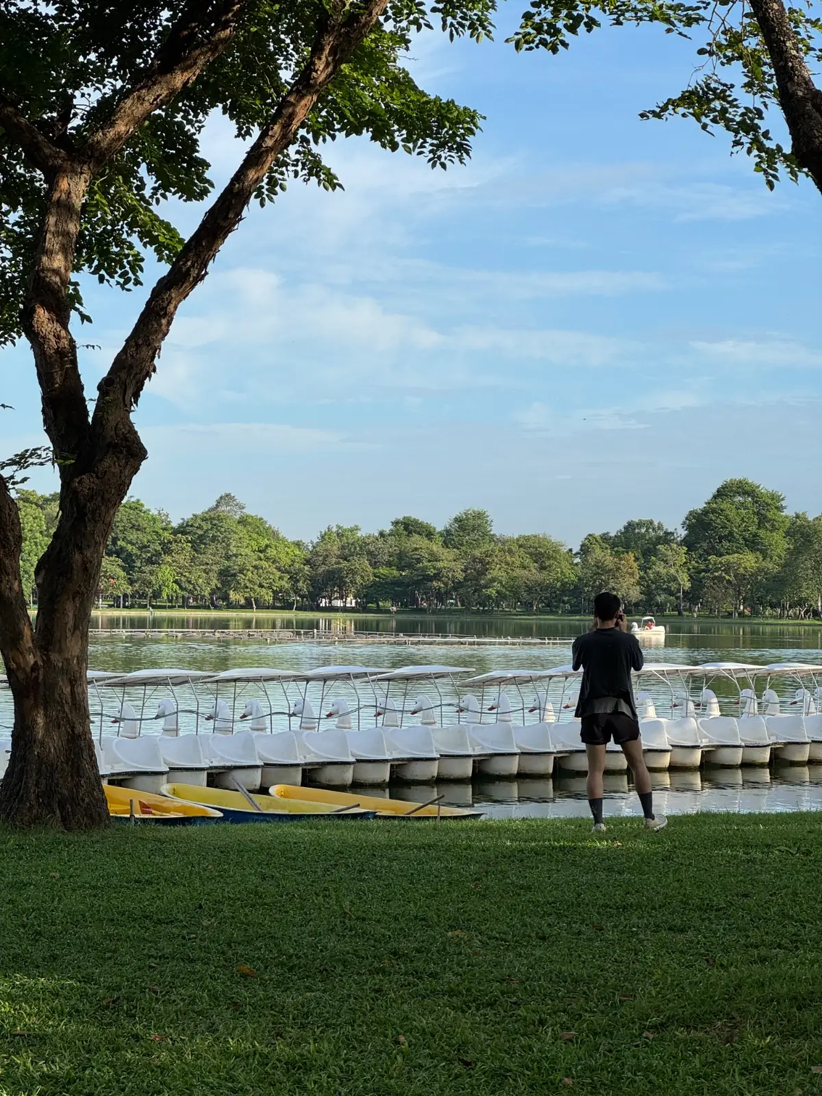 Brown's River overall image 1