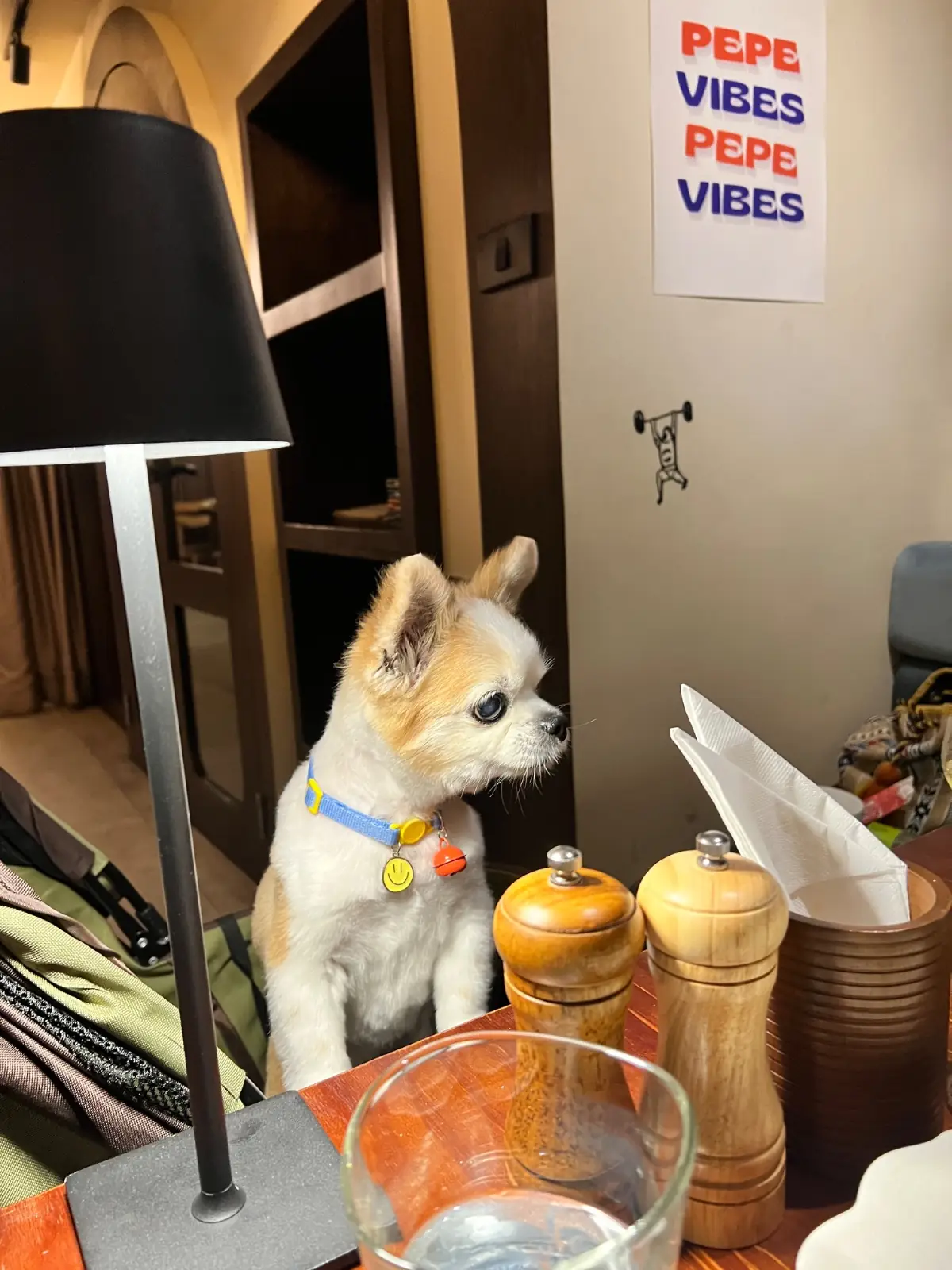 PEPE Bangkok pets image 1