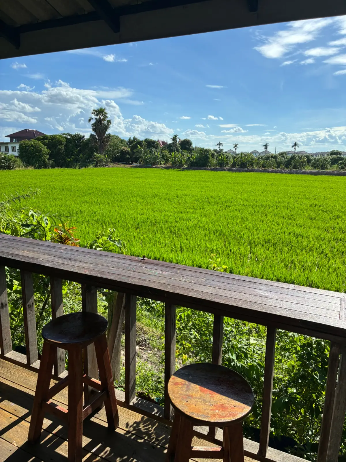 Weekend Coffee Farm & Garden overall image 1