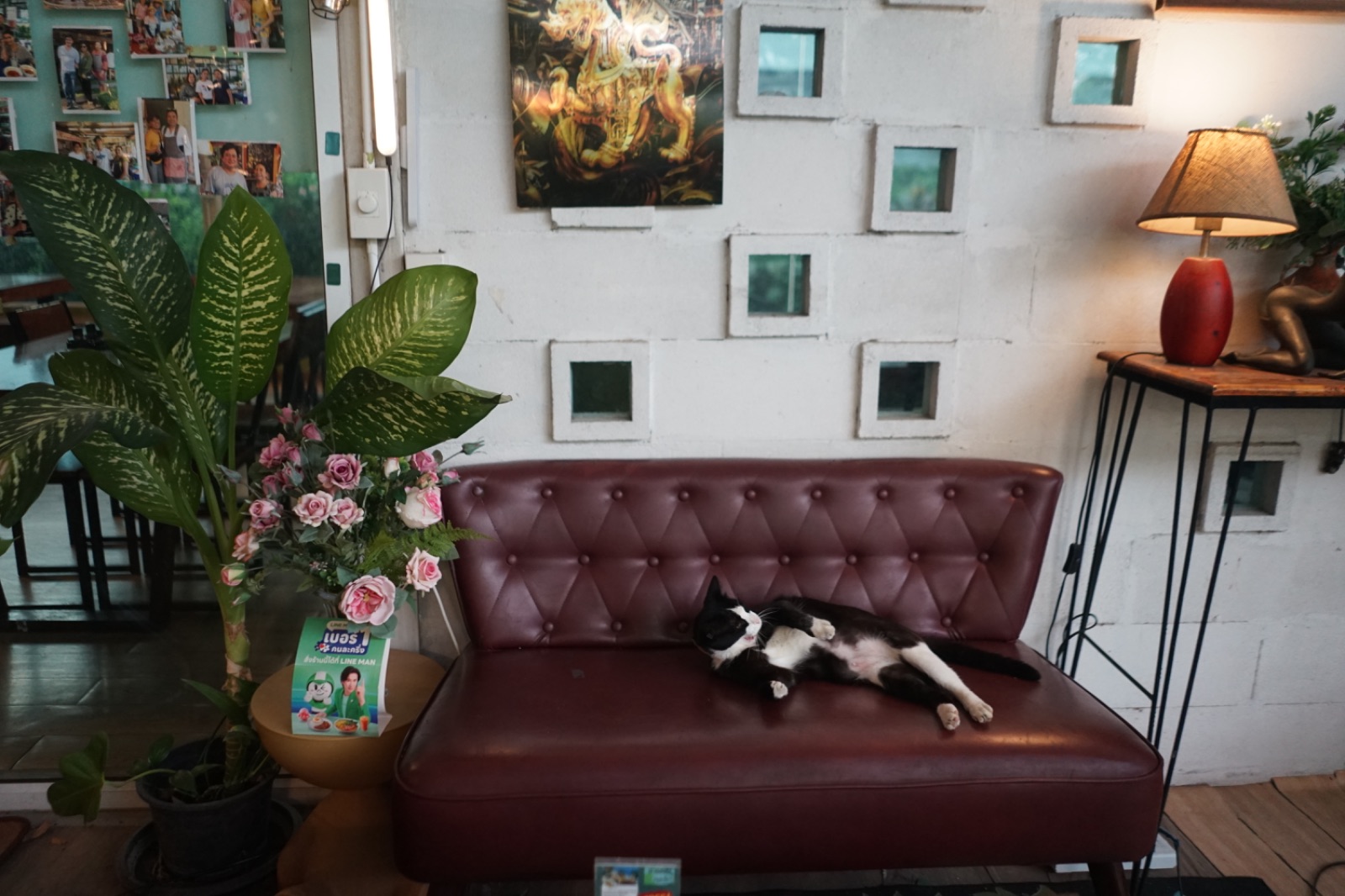 ปากหม้อ cafe' hero image 24