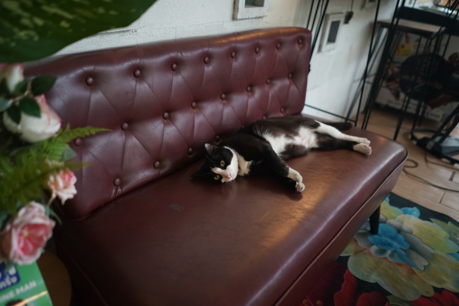 ปากหม้อ cafe' hero image 21