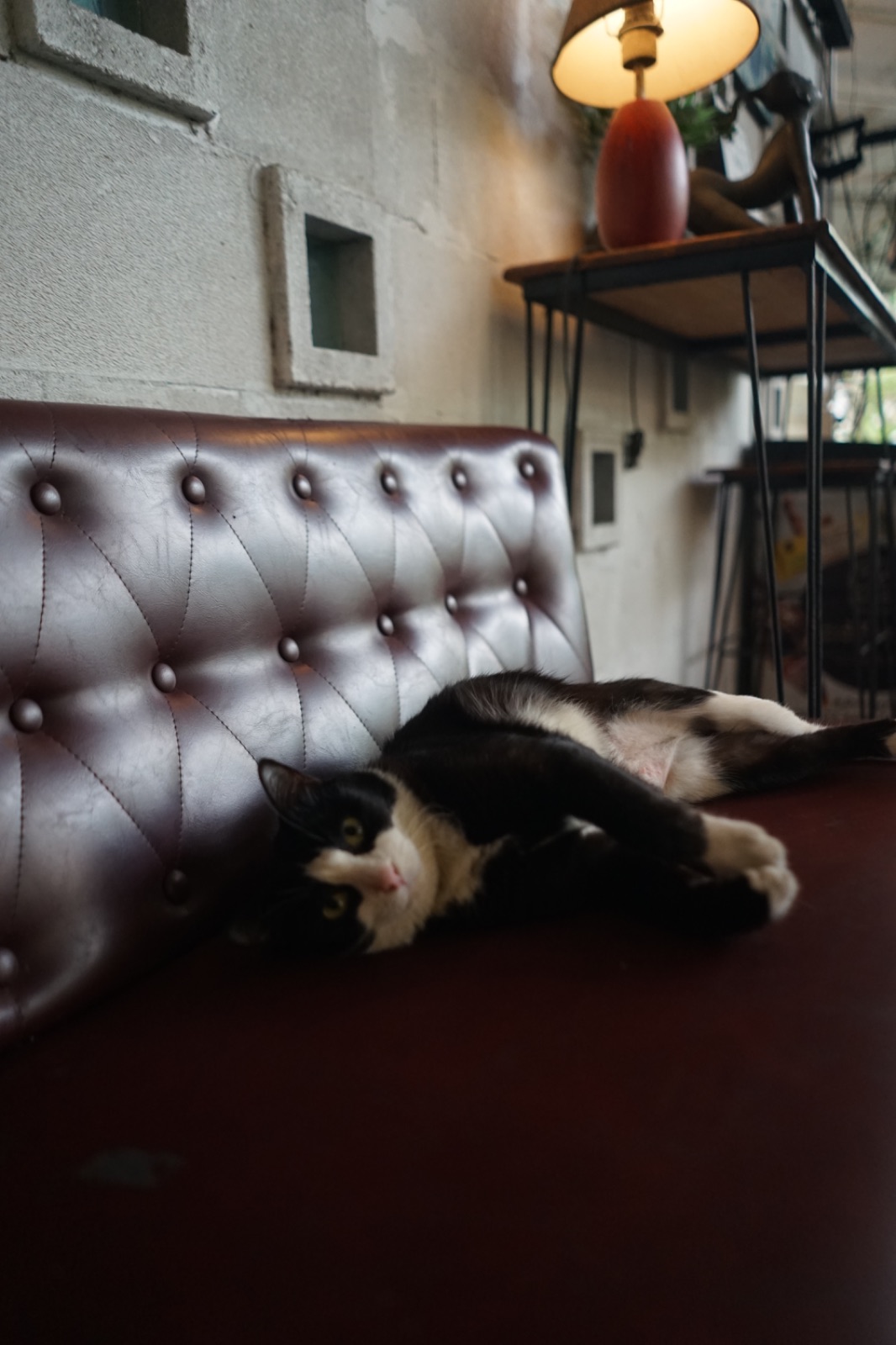 ปากหม้อ cafe' hero image 23