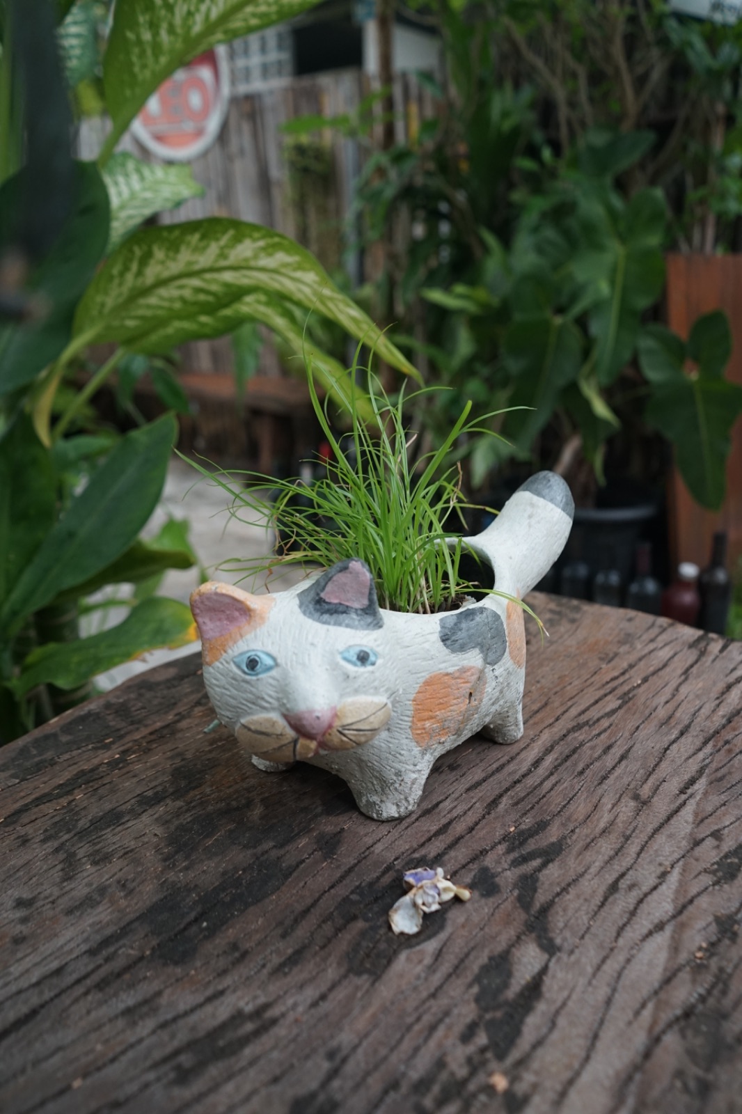 ปากหม้อ cafe' hero image 7