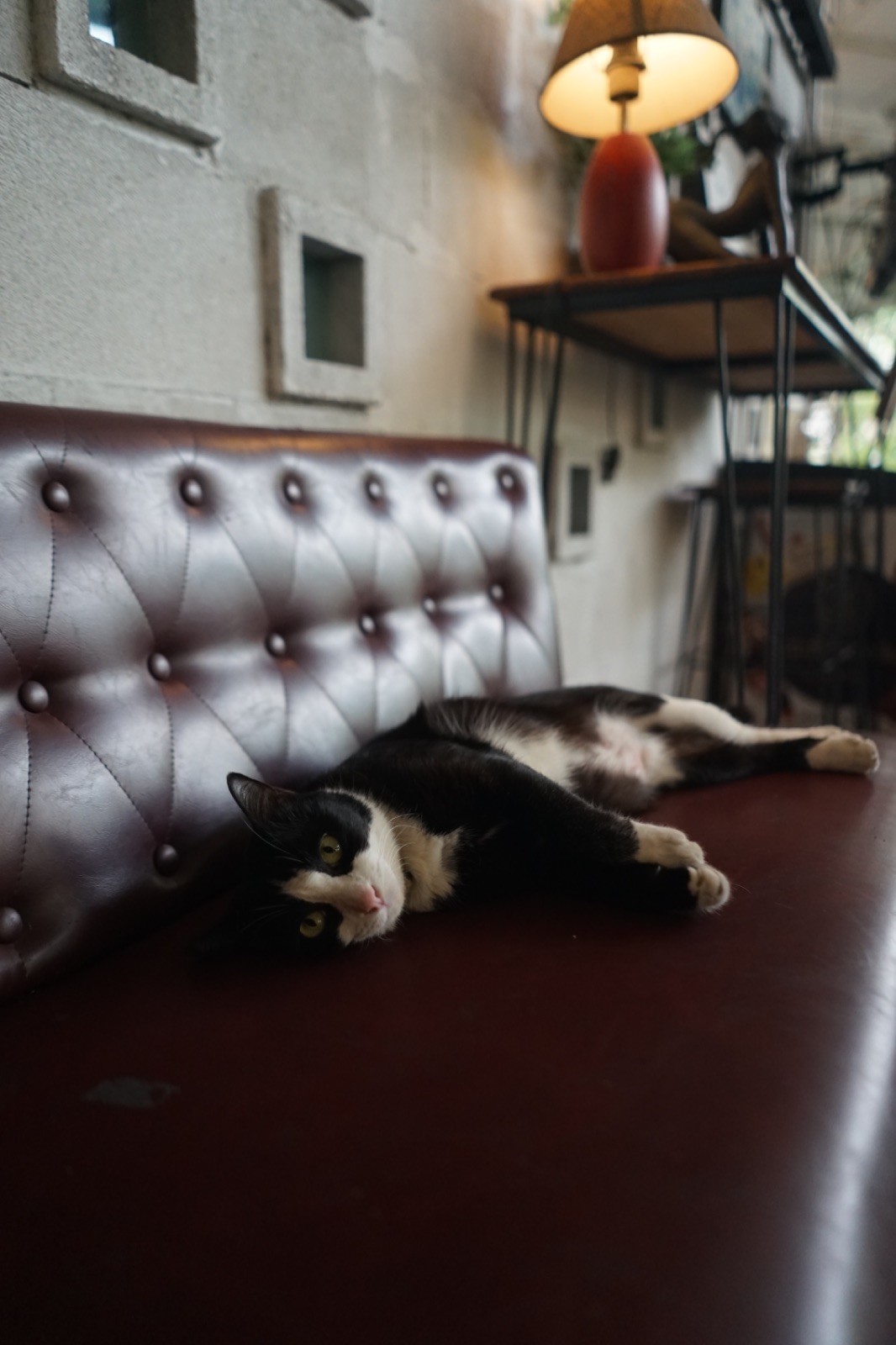 ปากหม้อ cafe' hero image 22