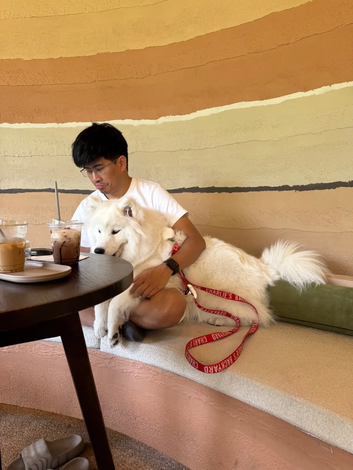Archie Cafe pets image 3
