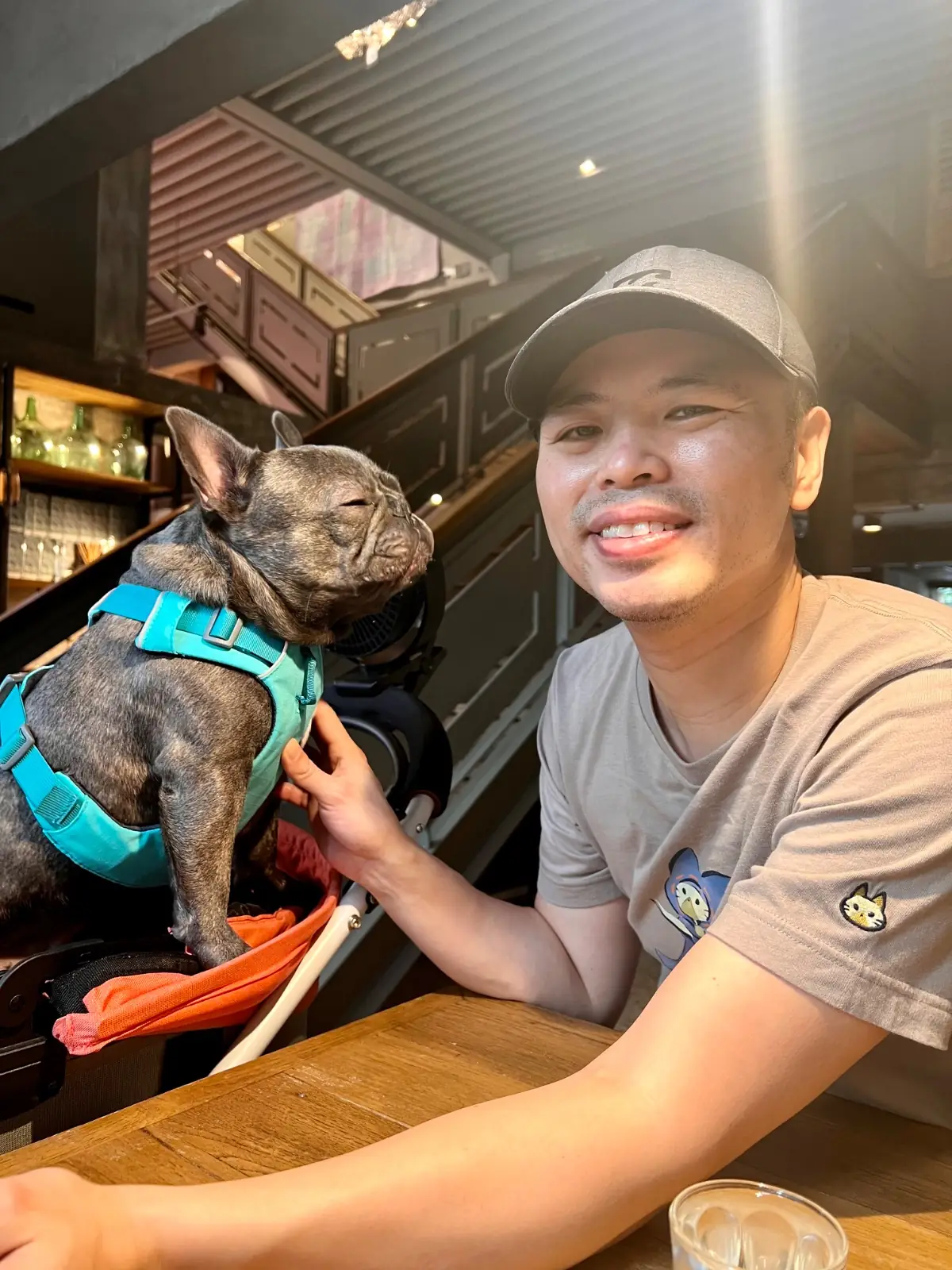 Luka Cafe pets image 1