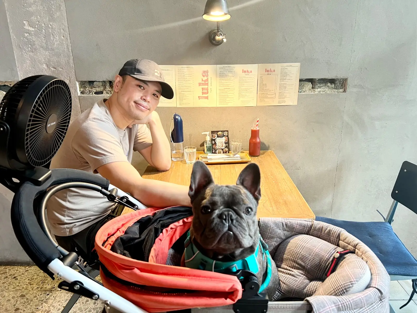 Luka Cafe pets image 2