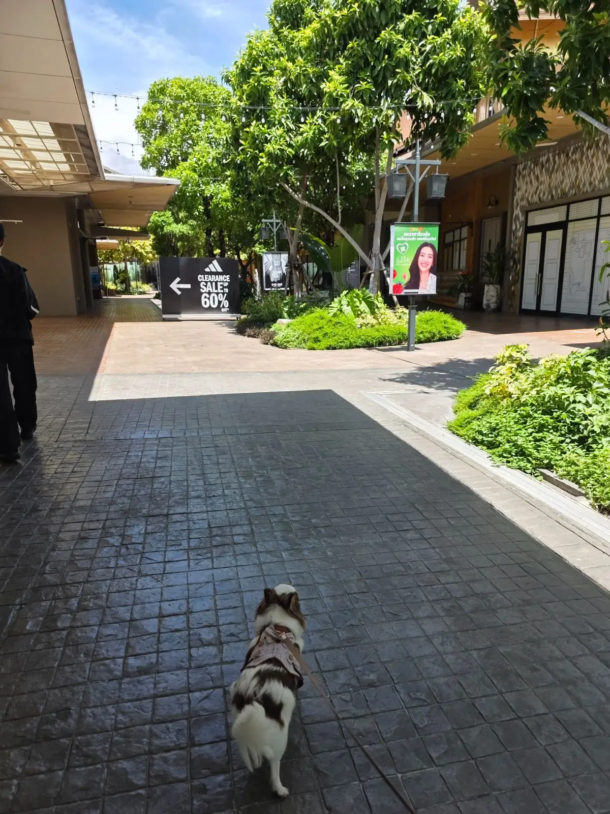 Central Village Outlet overall image 1