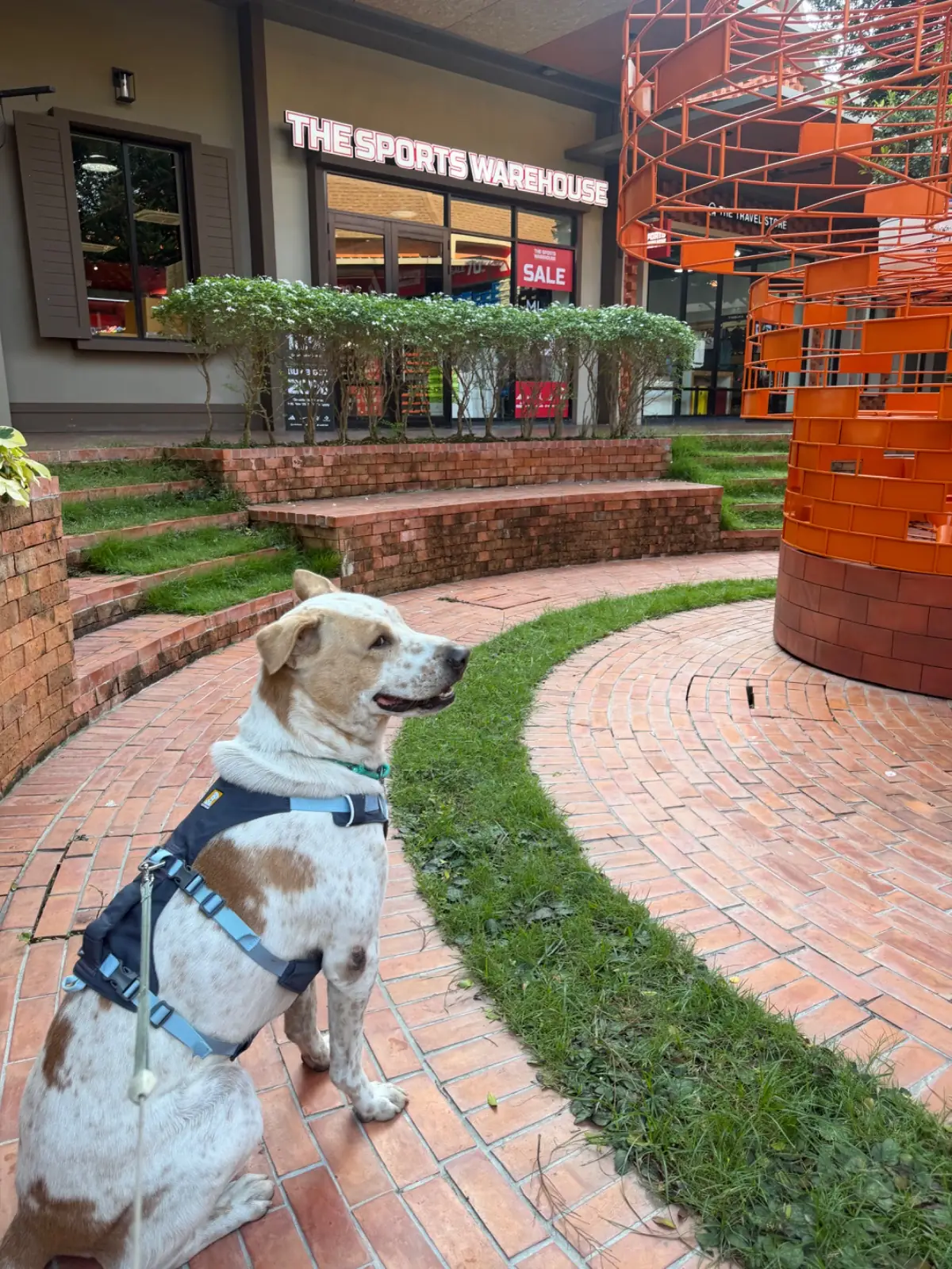 Central Village pets image 1