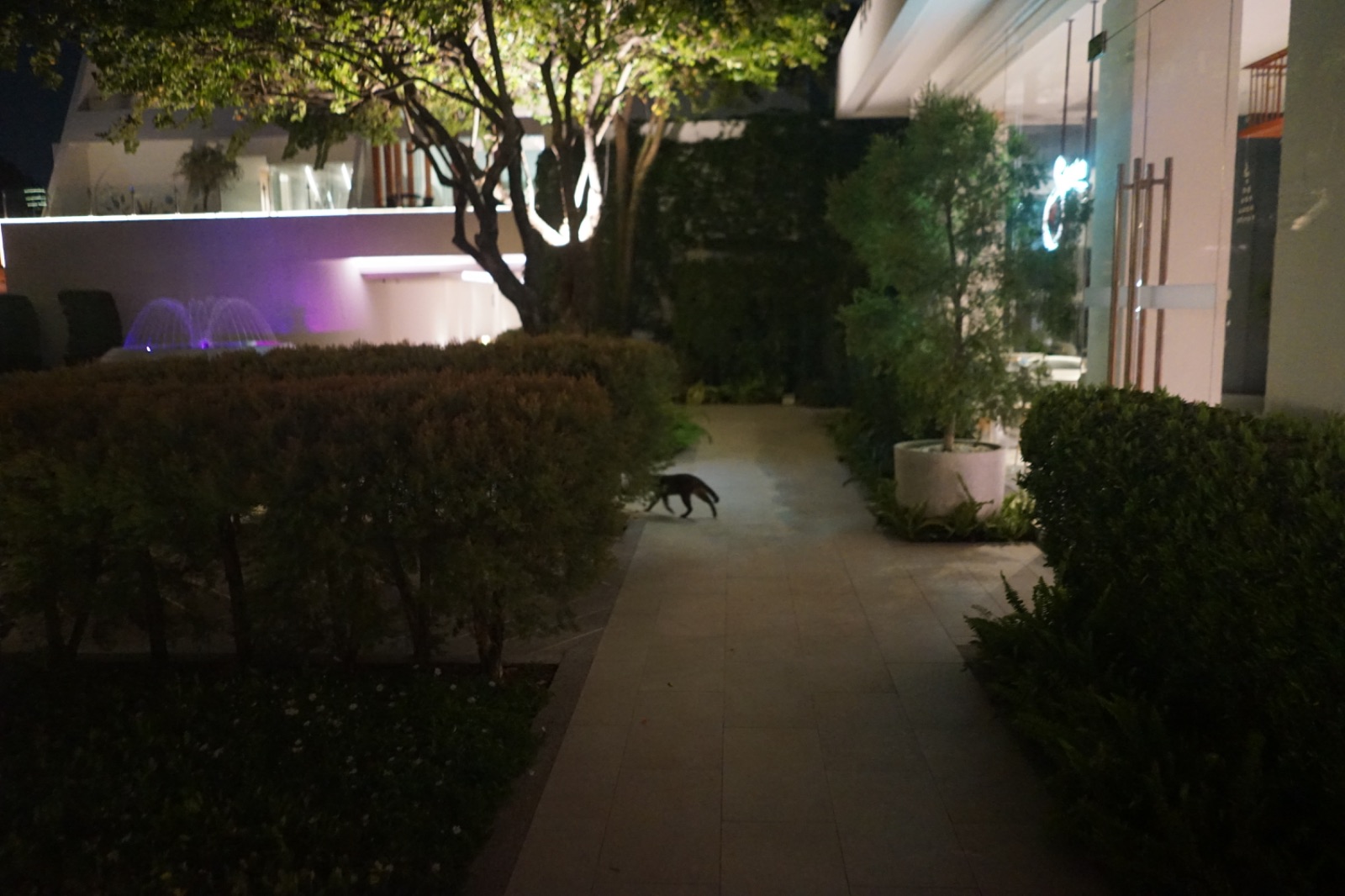 Sarin Café ambiance image 4