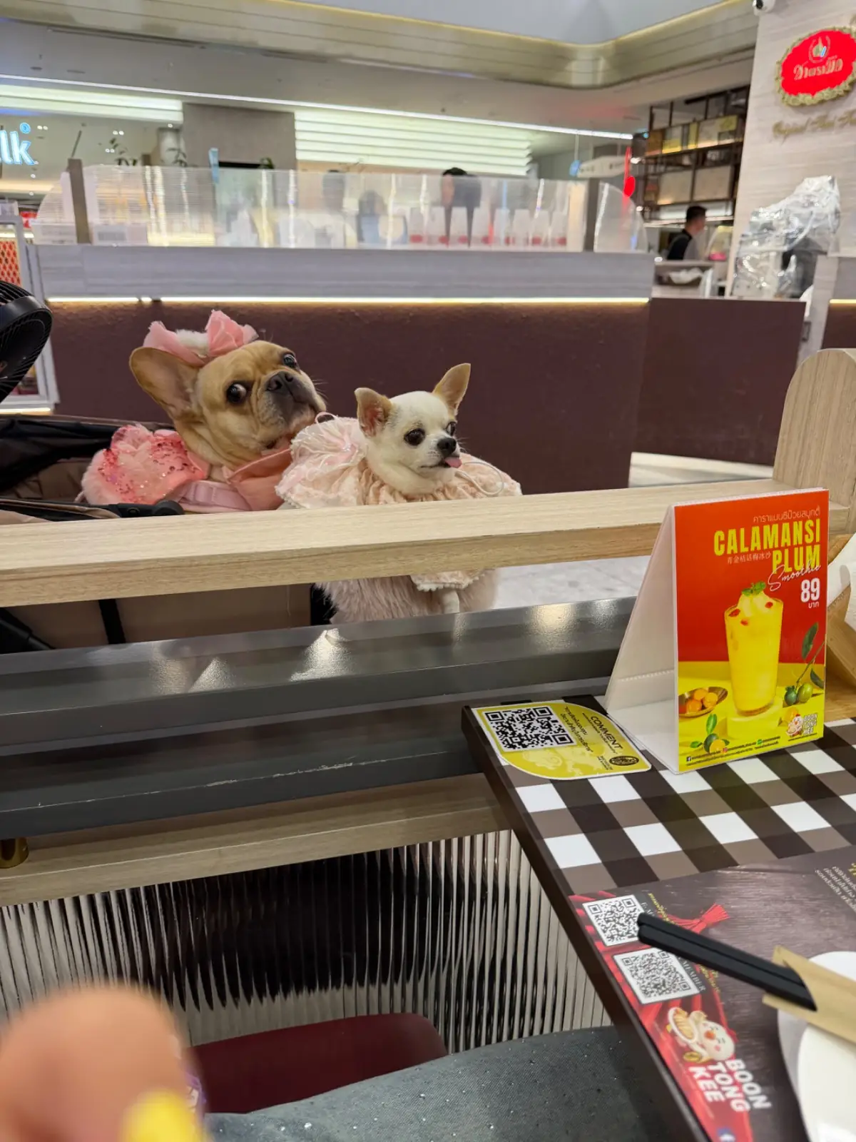 บุญตงกี่ pets image 2