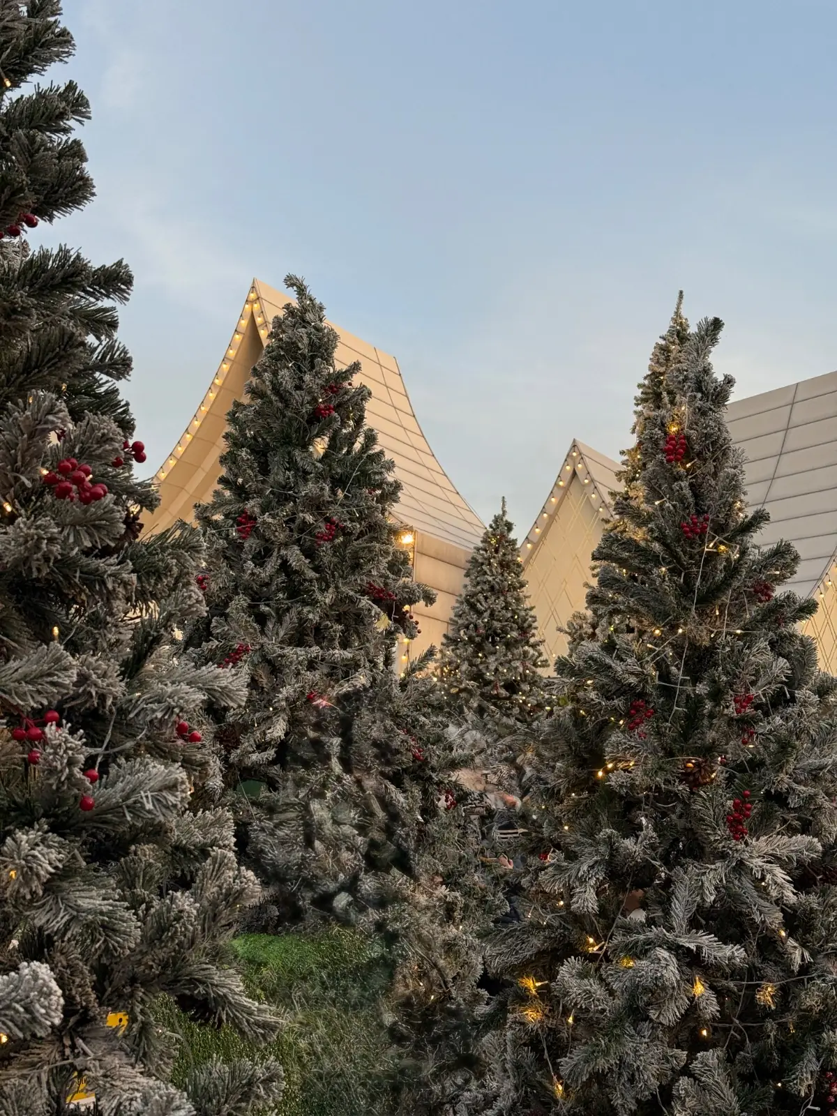 Central Village - VIP Lounge overall image 1