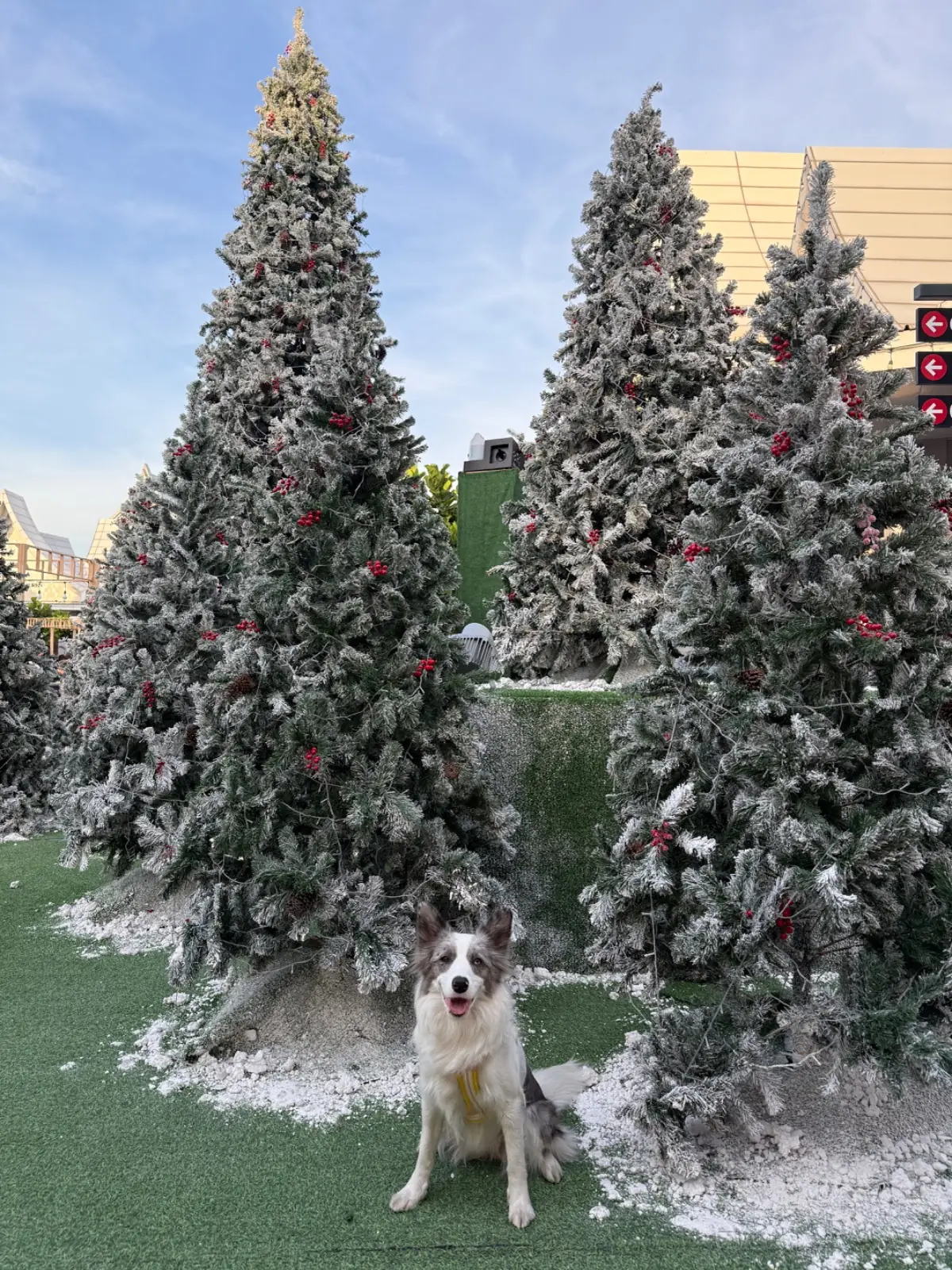 Central Village - VIP Lounge pets image 1