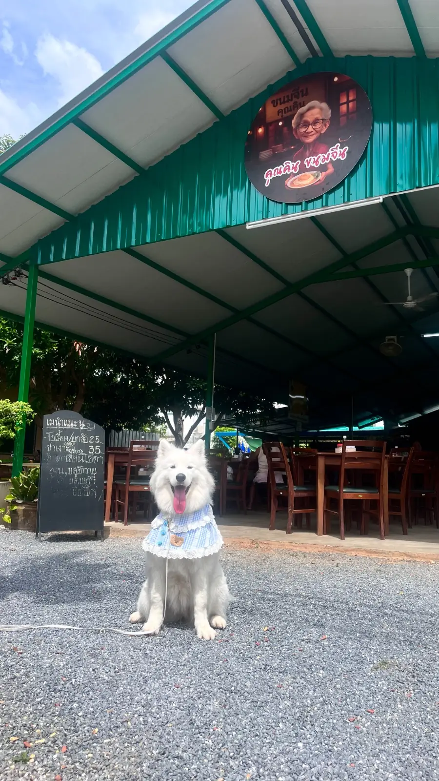 คุณคินขนมจีน pets image 2