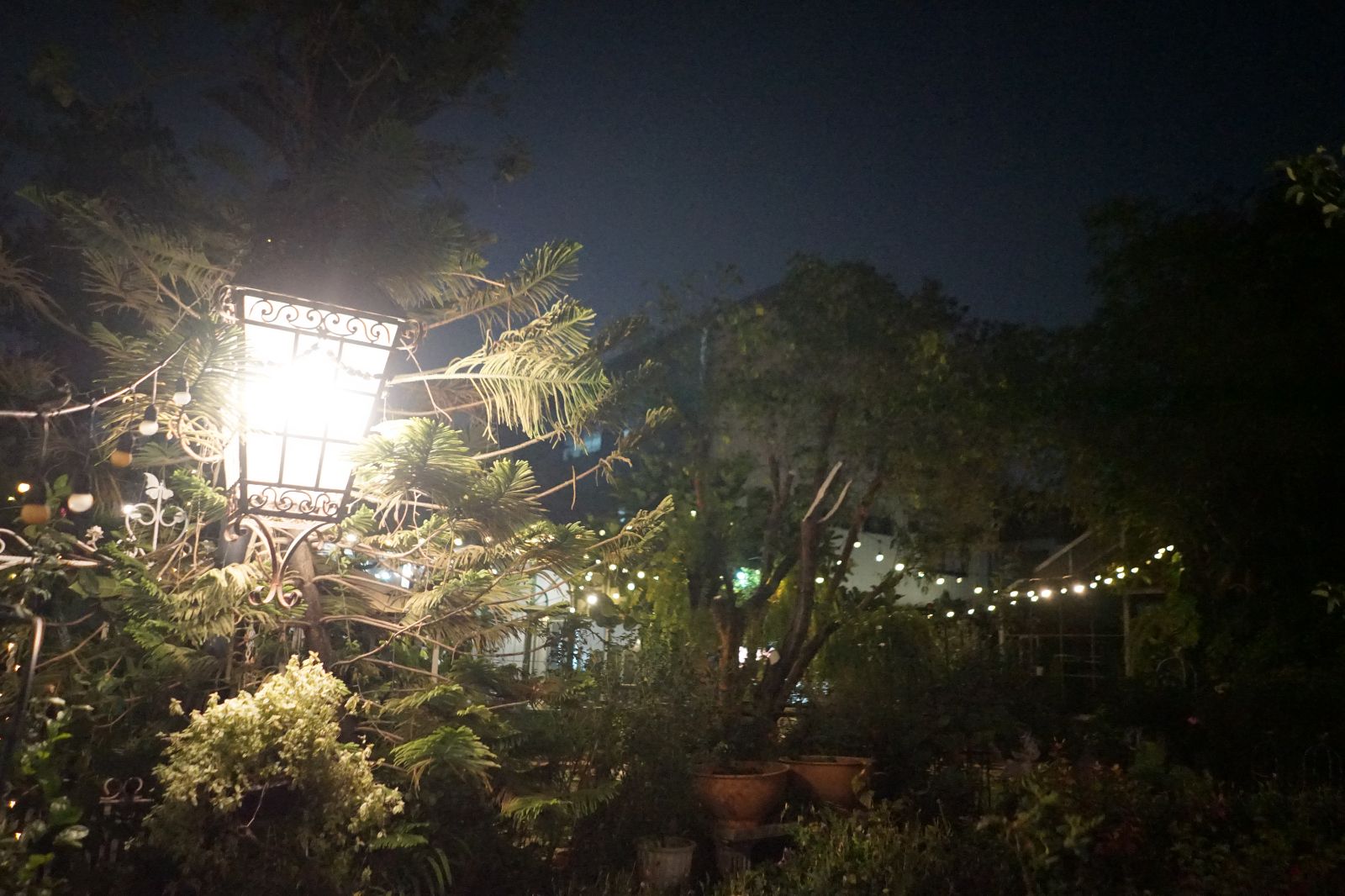 PONTE Cafe by Chef Mine ambiance image 2