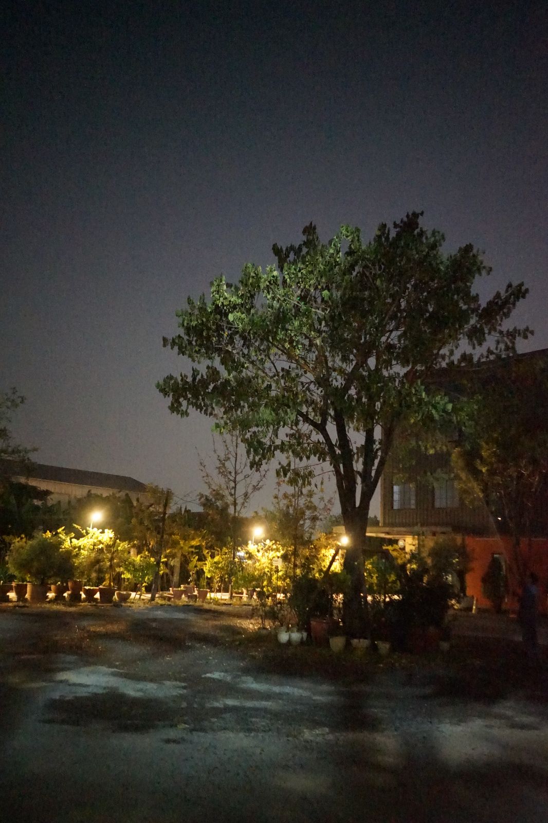 PONTE Cafe by Chef Mine ambiance image 5