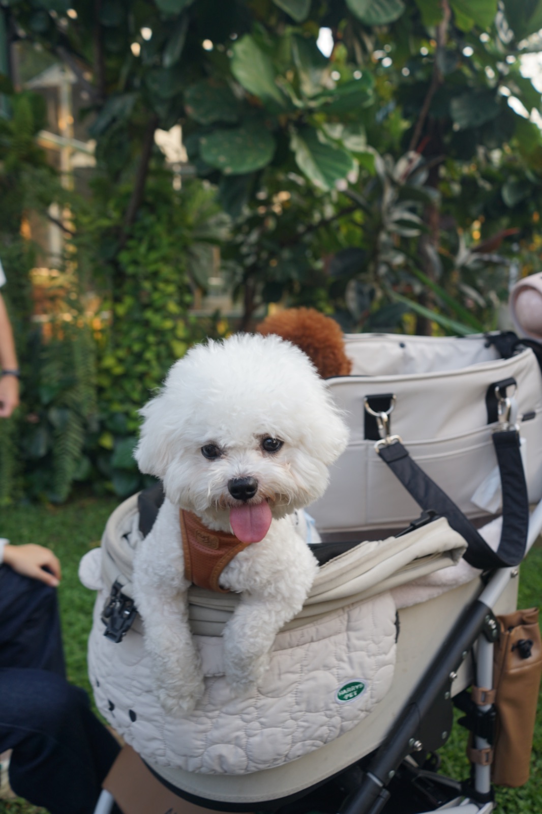 PONTE Cafe by Chef Mine overall image 8