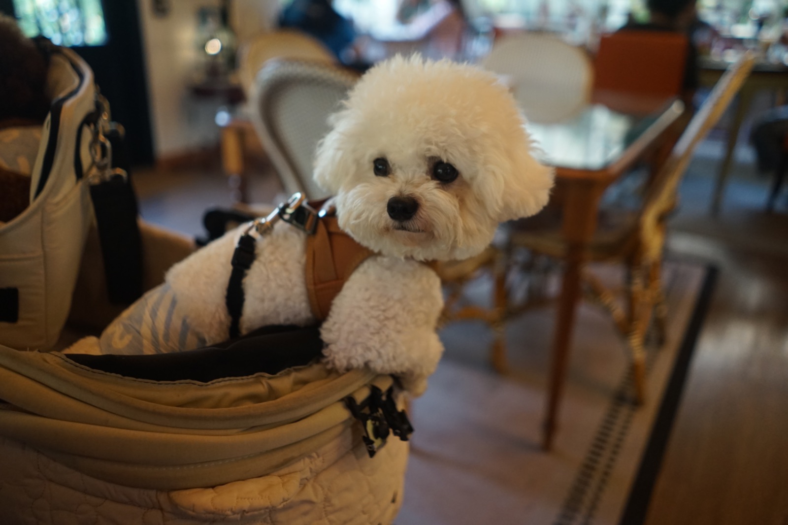 PONTE Cafe by Chef Mine overall image 2