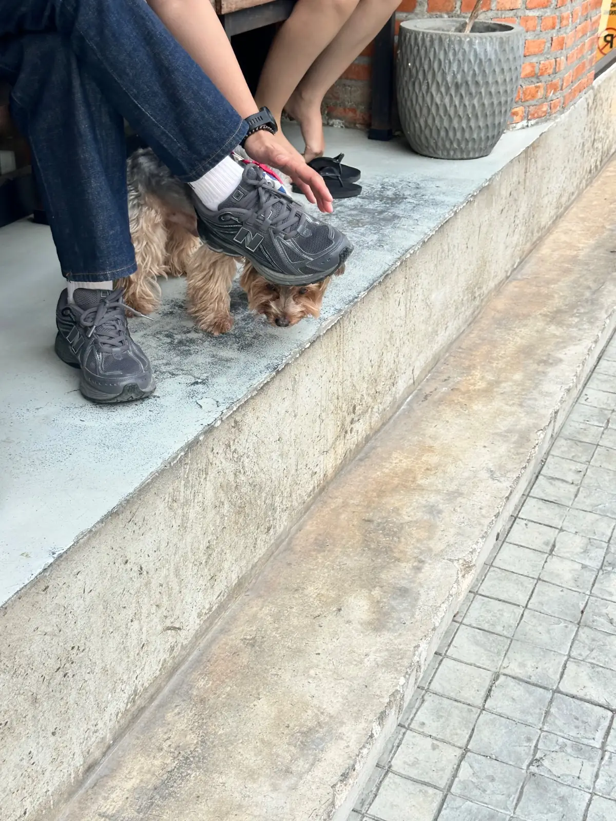 Toffee Roasters pets image 1