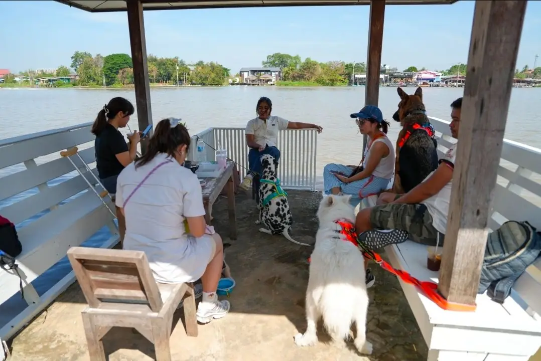 Baan Khao WhiteBox cafe and restaurant ambiance image 1