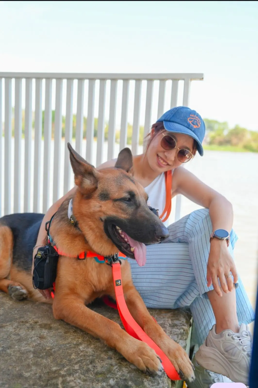 Baan Khao WhiteBox cafe and restaurant pets image 1