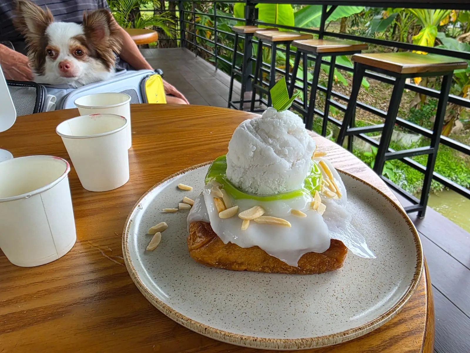 คาเฟ่บ้านสวน สวนจุฑาวดี other image 1