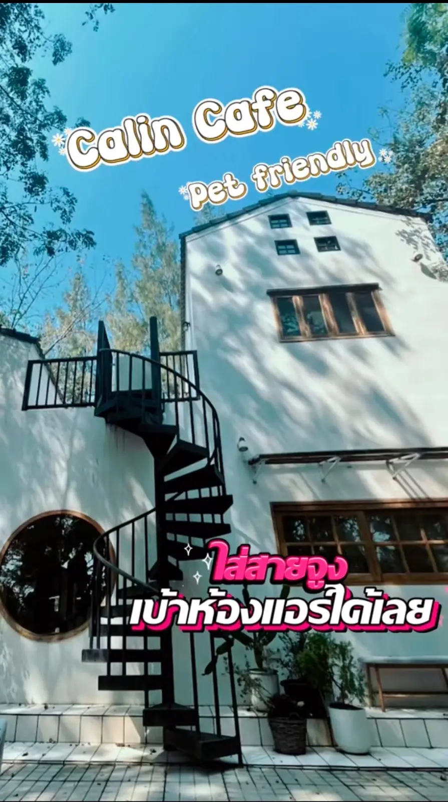 Calin Cafe ambiance image 1