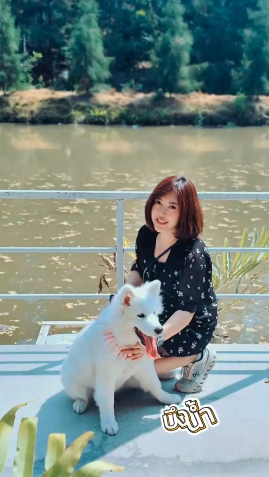 Calin Cafe pets image 8