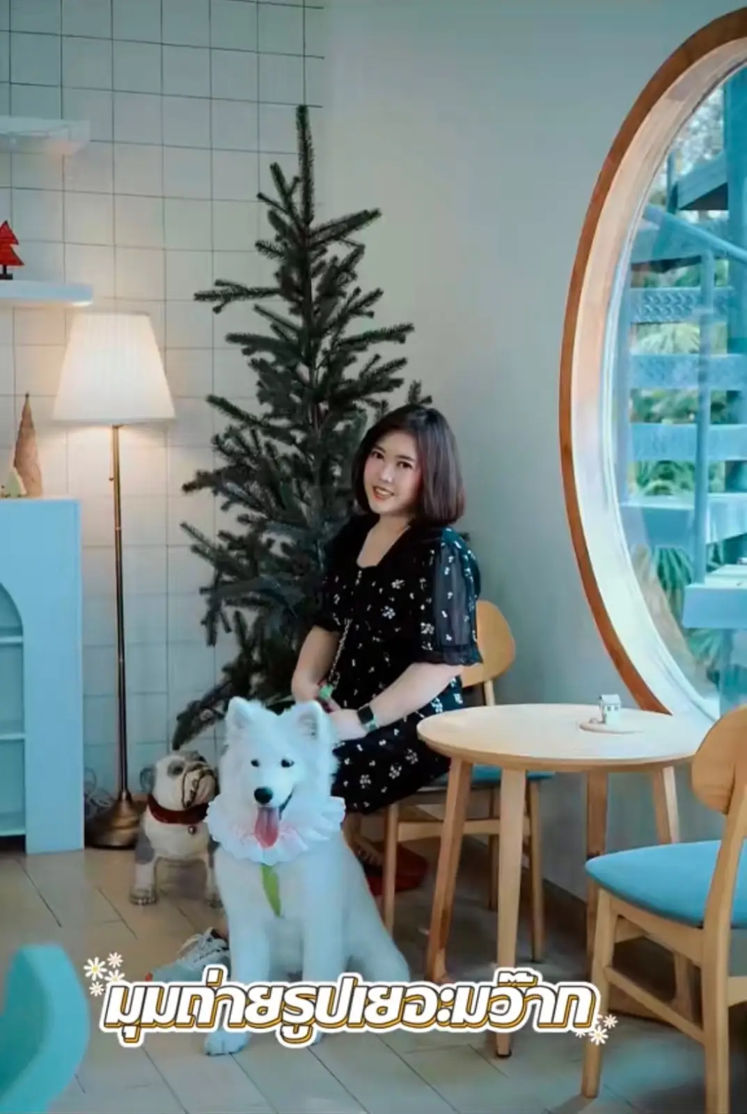 Calin Cafe pets image 1