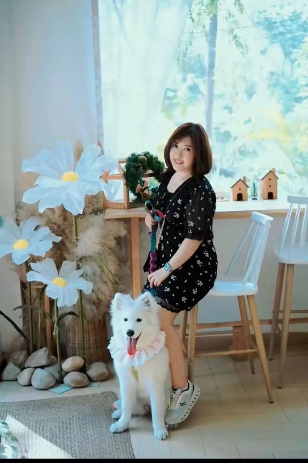 Calin Cafe pets image 7