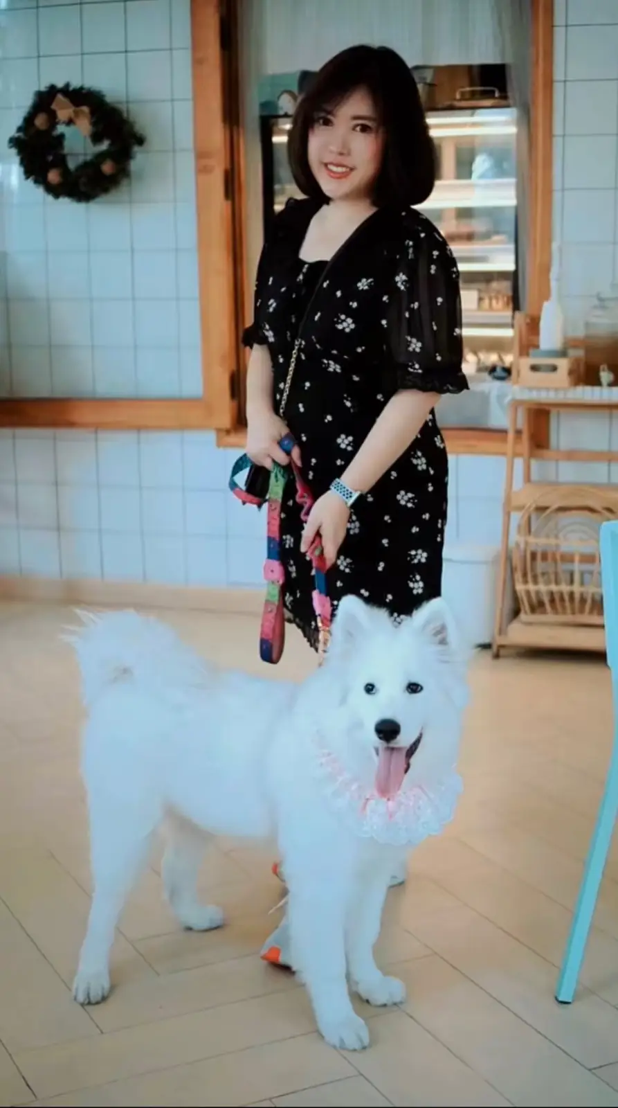 Calin Cafe pets image 4