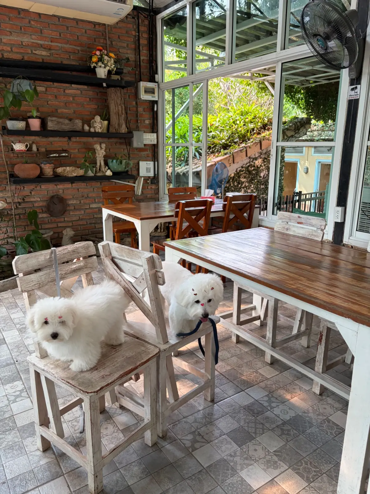 บ้านขนมปังขิง Gingerbread House amenities image 1