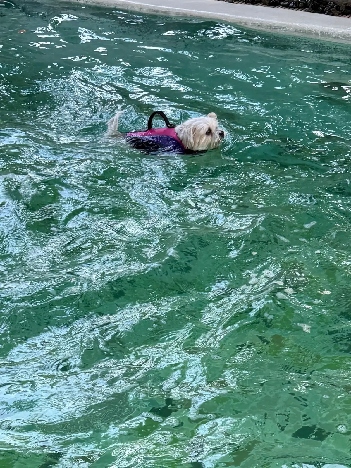 บ้านขนมปังขิง Gingerbread House amenities image 4