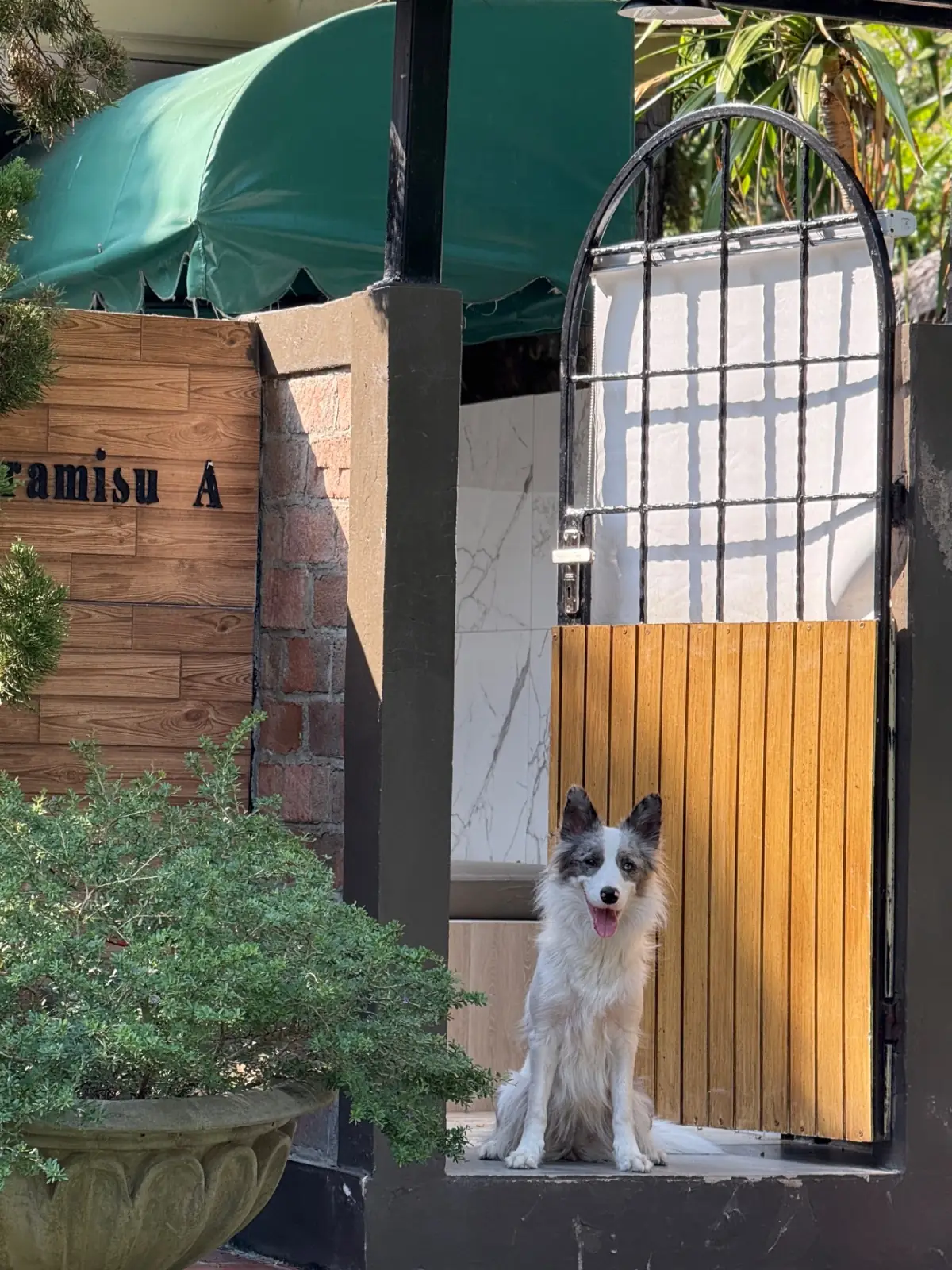 บ้านขนมปังขิง Gingerbread House amenities image 3