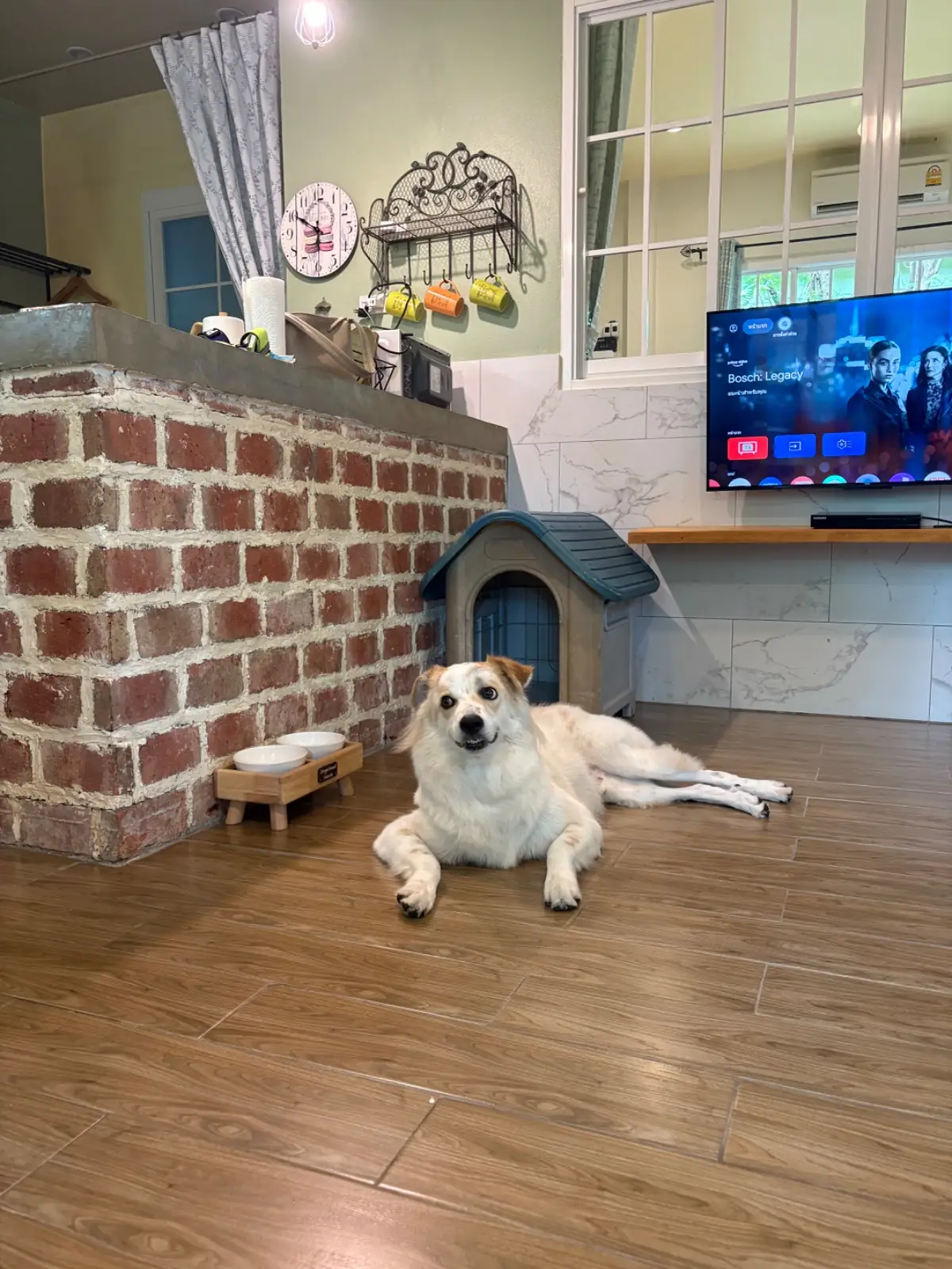 บ้านขนมปังขิง Gingerbread House pets image 14