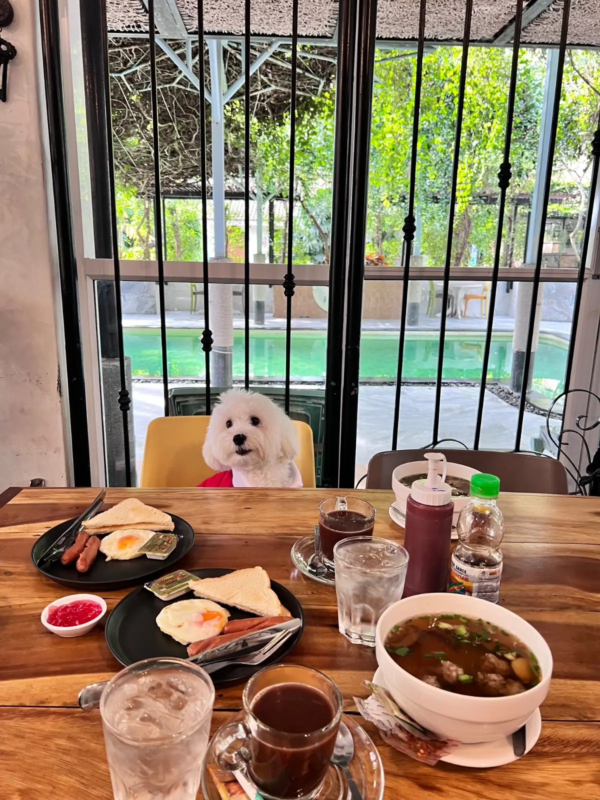 บ้านขนมปังขิง Gingerbread House pets image 8