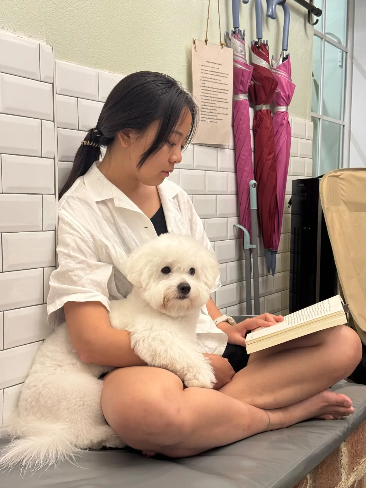 บ้านขนมปังขิง Gingerbread House pets image 1