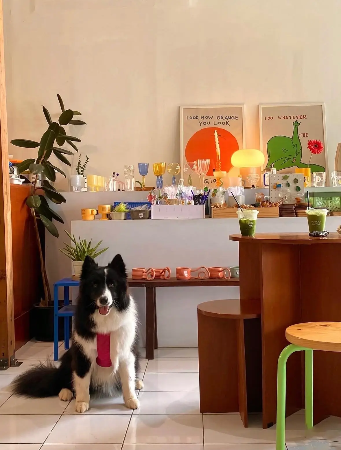 Matcha routine & more by Darkconess pets image 3