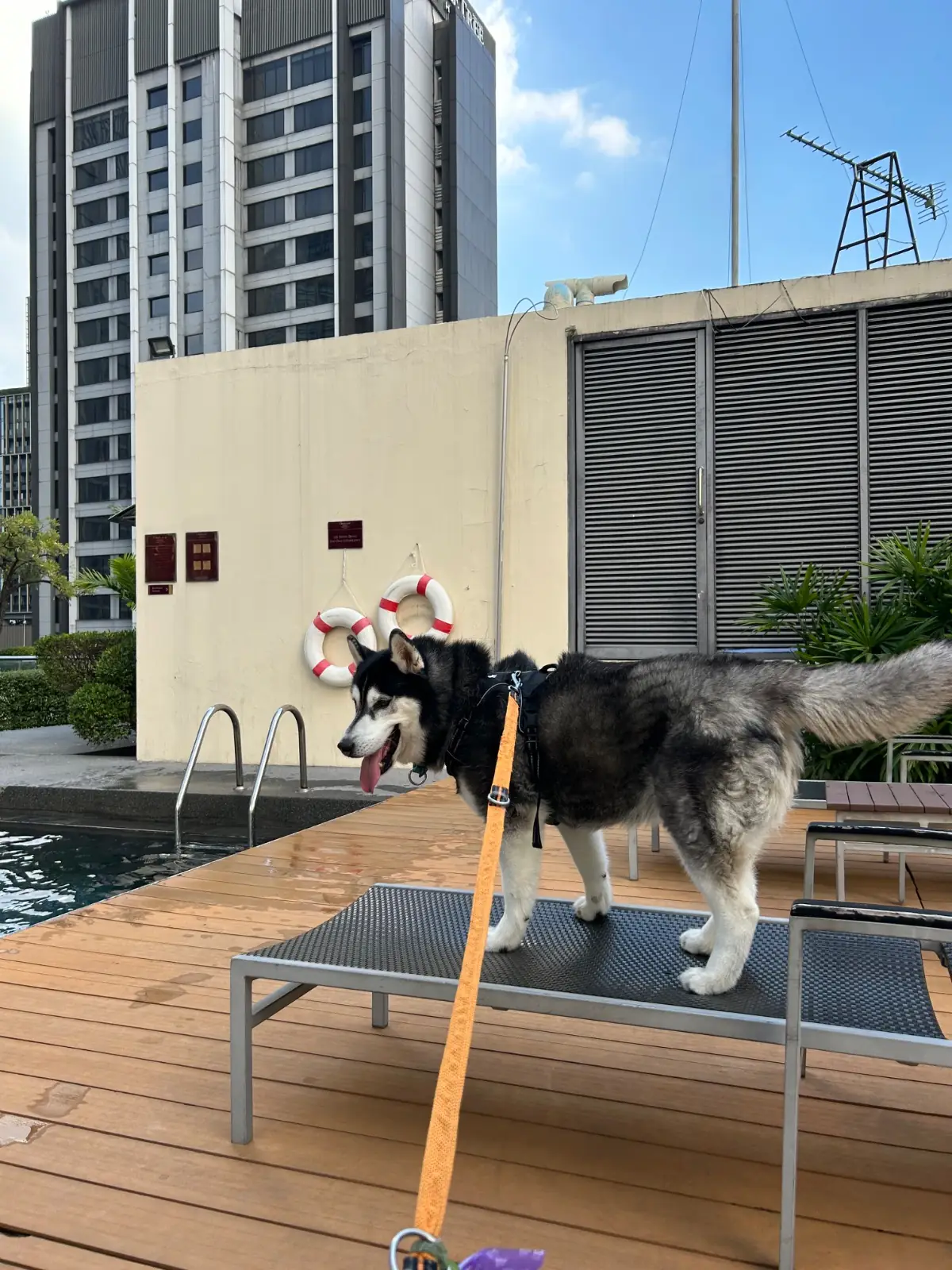 Oakwood Residence Sukhumvit 24 amenities image 1